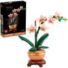 Botanicals : l'orchidée miniature