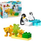 Duplo : familles d’animaux sauvages : pingouins et lions