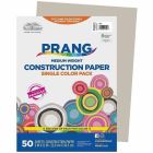 Papier de construction 9 x 12 po (paquet de 50) gris
