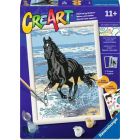 Peinture à numéros creart: cheval sur la plage