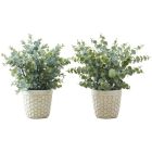 Plante d'eucalyptus artificielle