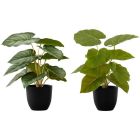 Plante d'epipremnum artificielle