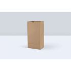 Sac en papier kraft - 8,3 x 5,3 x 16 po.