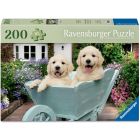 Casse-tête : golden retriever (200)