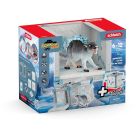 Rat de glace