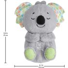 Koala apaisant