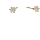 Boucles d'oreilles lily or