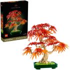 Botanicals : le bonsaï d’érable rouge japonais