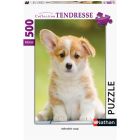 Casse-tête : adorable corgi (500)