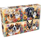 Casse-tête : paires paw-fects