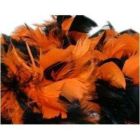 Assortiment de plumes pour halloween
