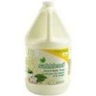 Savon mousse pour les mains et le corps
