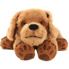 Chien theo the therapy dog de roylco