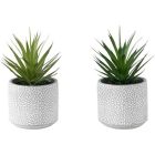 Plantes succulentes artificielles