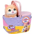 Petit animal vivant mama surprise s7 set de jeu pour chats