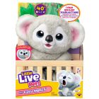 Petits animaux vivants mon bÉbÉ s4 koala peluche simple pk