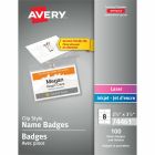 Insignes d'identification avec pince 2-1/4 x 3-1/2 po pqt 100