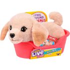 Little live pets mini poppy