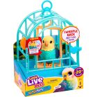Little live pets oiseau et cage