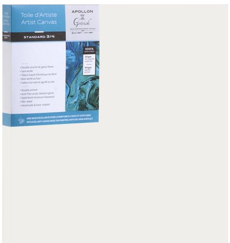 Toile professionnelle standard deluxe 22x28