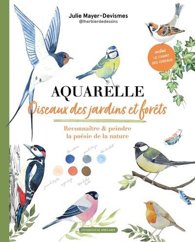 Aquarelle oiseaux des jardins et forêts
