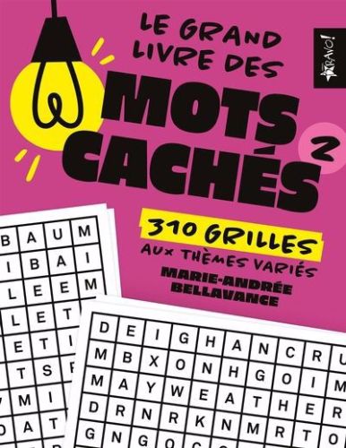 Le grand livre des mots cachés 2