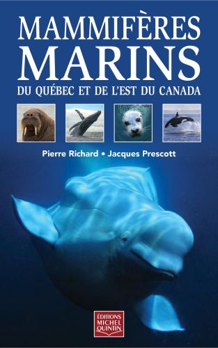 Mammifères marins du québec et de l'est du canada