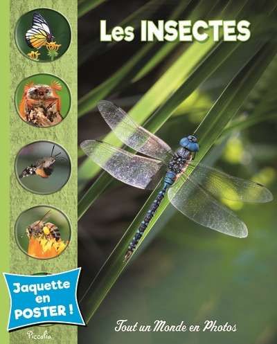 106336-9782753070608-cover.jpeg