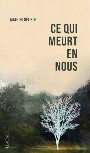 111153-9782760994829-cover.jpeg