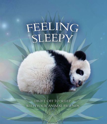 Feeling sleepy: