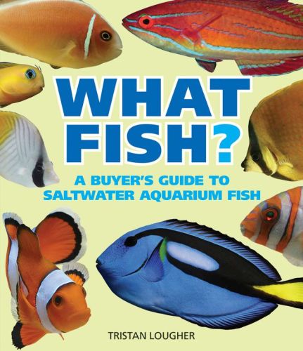 What saltwater fish?: a buyer's guide to saltwater aquarium fish