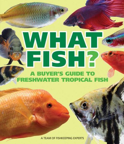 What freshwater fish?: a buyer's guide to tropical aquarium fish