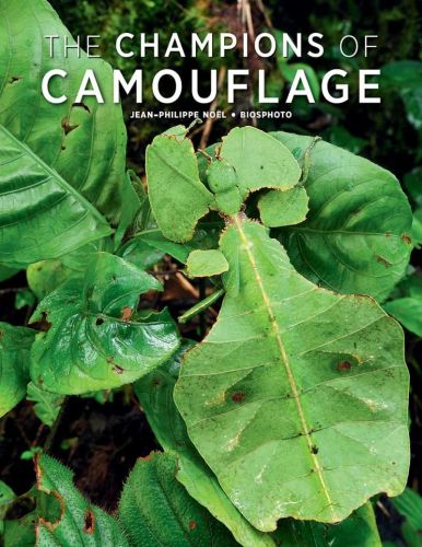 The champions of camouflage