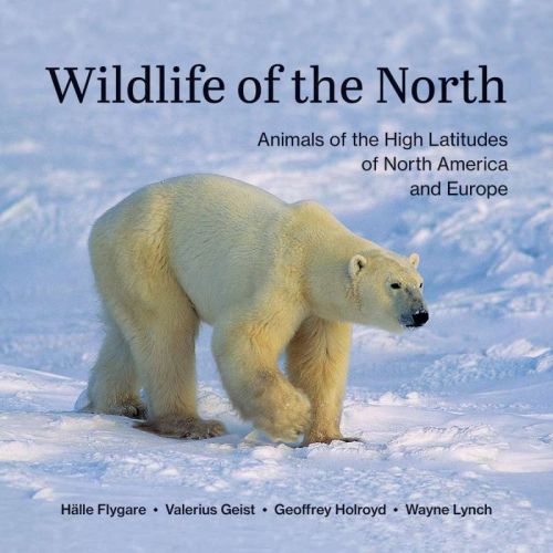 Wildlife of the north