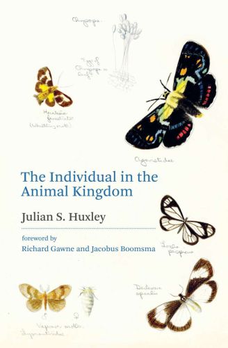 The individual in the animal kingdom