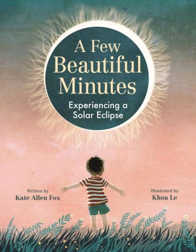 A few beautiful minutes: experiencing a solar eclipse