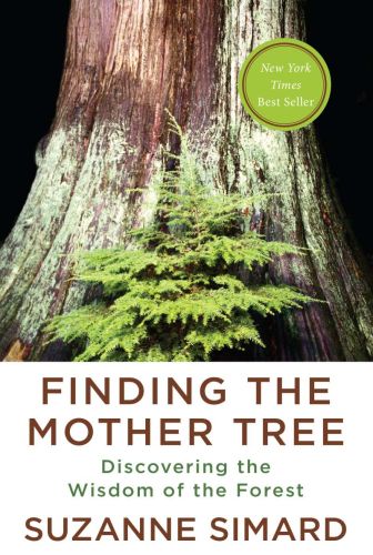 Finding the mother tree: discovering the wisdom of the forest