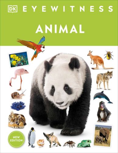 Eyewitness animal