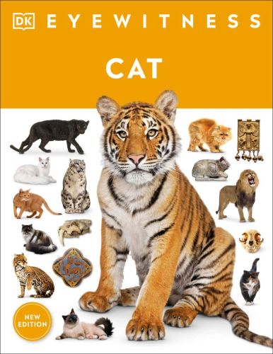 Cat; eyewitness