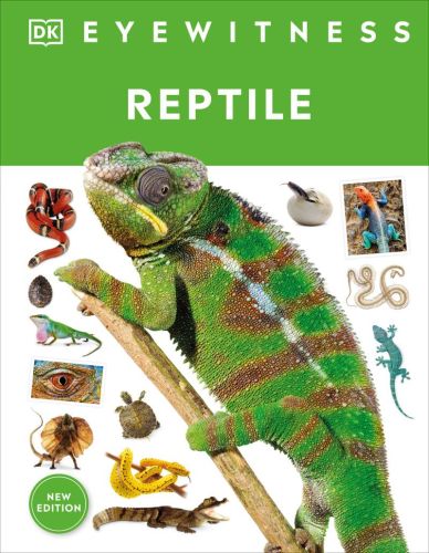 Reptile; eyewitness
