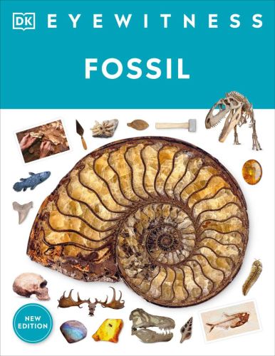 Fossil; eyewitness