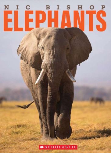Nic bishop elephants