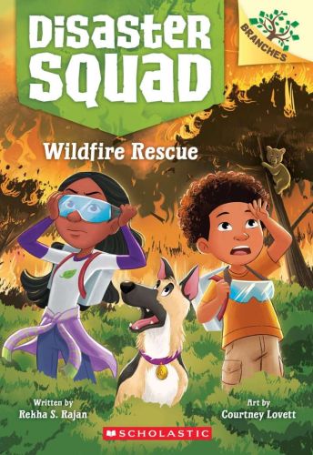 Wildfire rescue, book 1, disaster squad