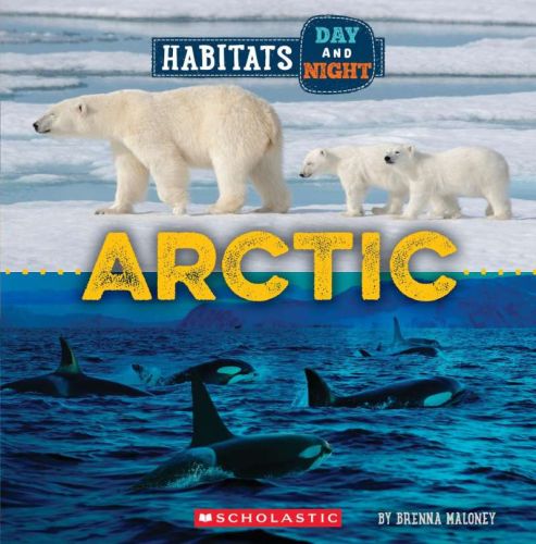Habbitats day and night : arctic