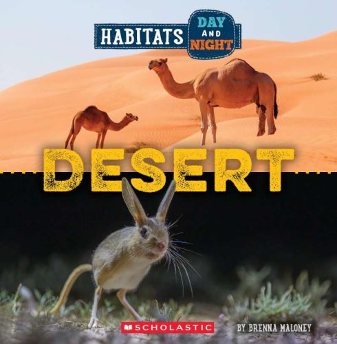 Habitats day and night : desert