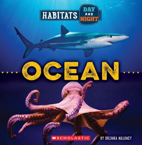 Habitats day and night : ocean