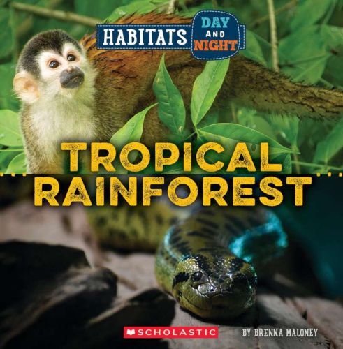 Habitats day and night : tropical rainforest