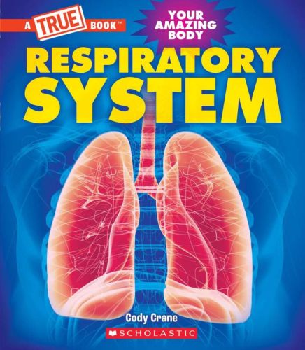 Your amazing body : respiratory system