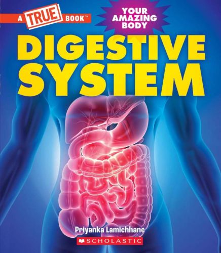 Your amazing body : digestive system
