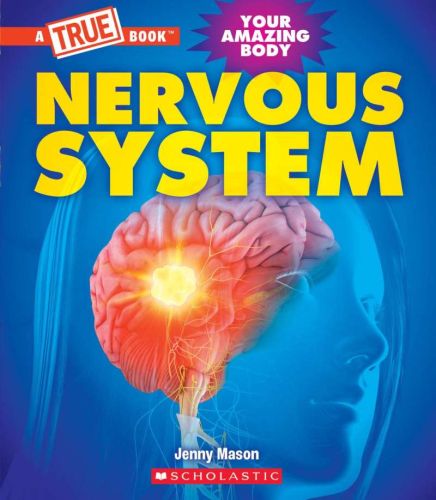 Your amazing body : nervous system